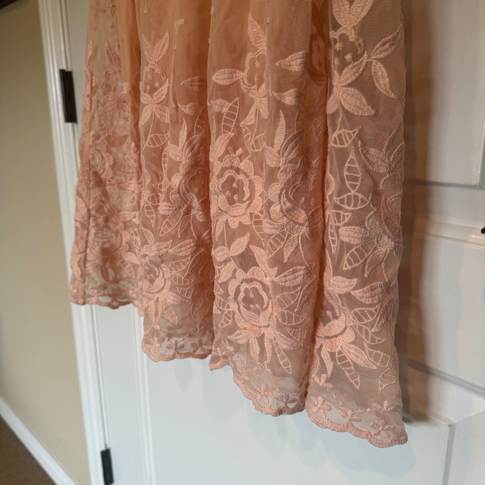 SUNDANCE Love Always Midi Dress Size 4 Lace Sheer Embroidered Line Blush - Picture 6 of 7